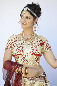 Wedding Dress or Gopi Skirt Lehenga