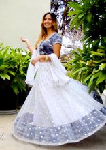 Load image into Gallery viewer, I Dream of Snow-Gopi Skirt Lehenga