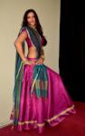 Load image into Gallery viewer, Dress to impress-Gopi Skirt Lengha