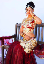 Load image into Gallery viewer, Wedding Dress or Gopi Skirt Lehenga