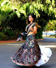 Load image into Gallery viewer, Every Word is a Song - Saree Lehenga